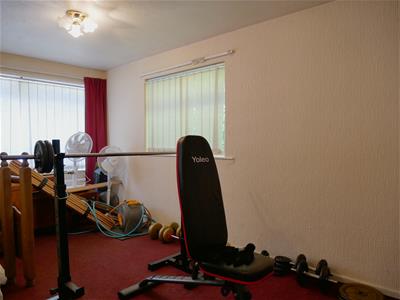 Picture 7